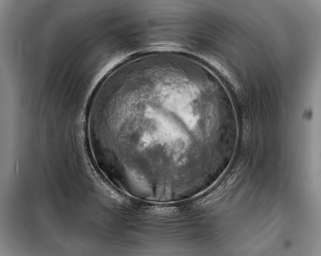 X0000100931325200807011212