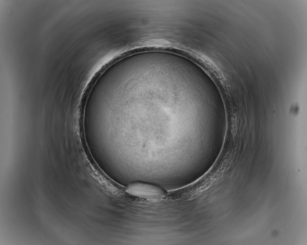 X0000100931326200807011212