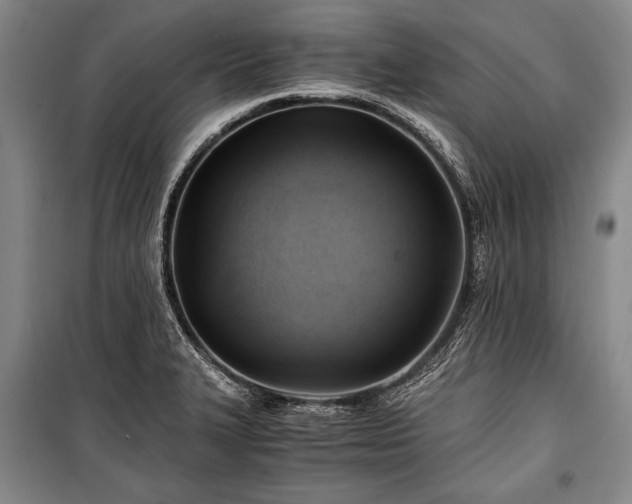 X0000100931327200807011212