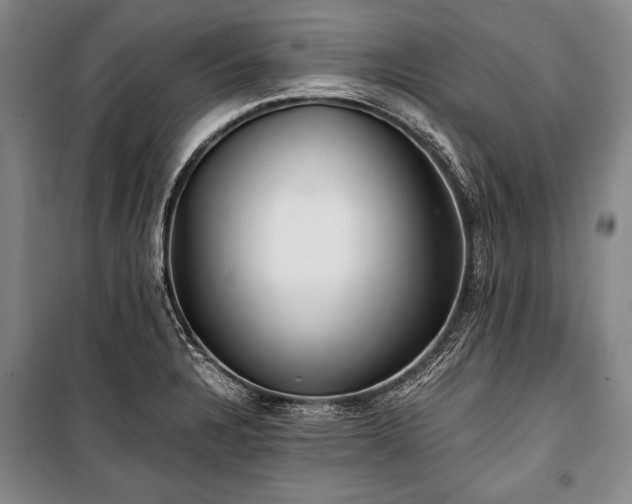 X0000100931328200807011212