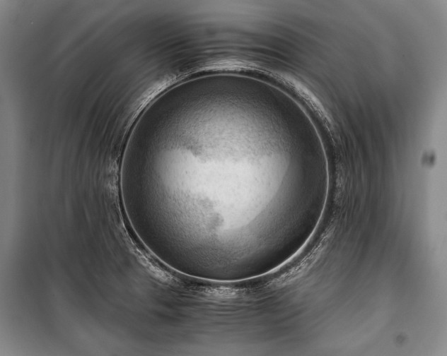 X0000100931329200807011212