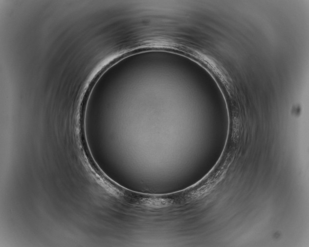 X0000100931331200807011212