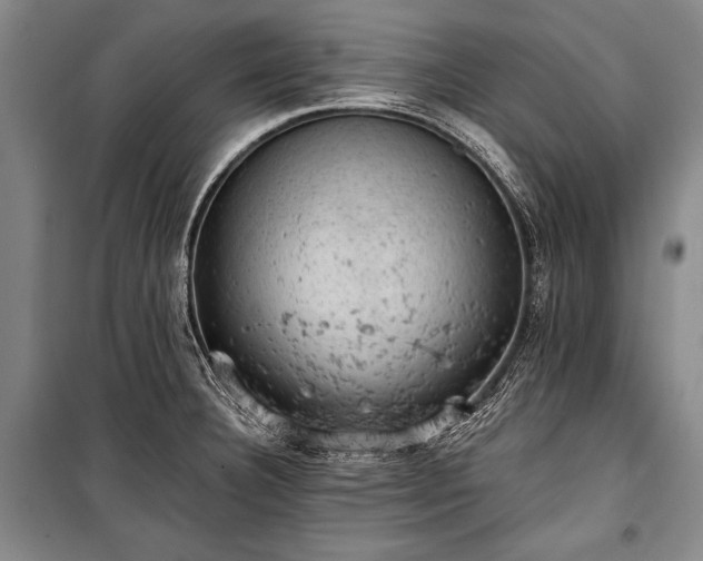 X0000100931332200807011212