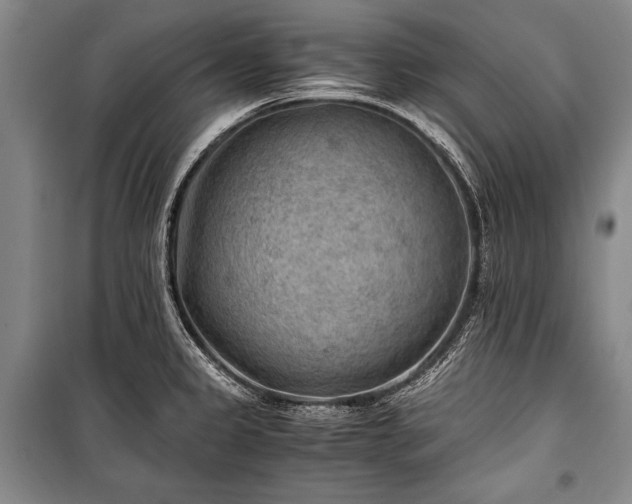 X0000100931333200807011212