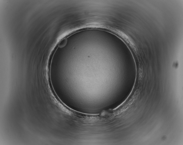 X0000100931334200807011212