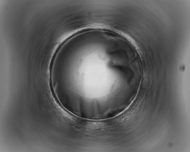 X0000100931335200807011212