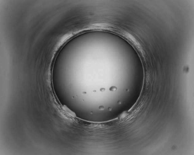 X0000100931336200807011212