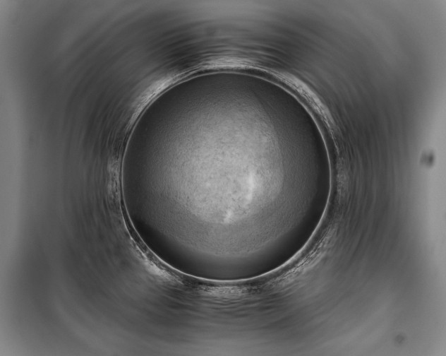 X0000100931337200807011212