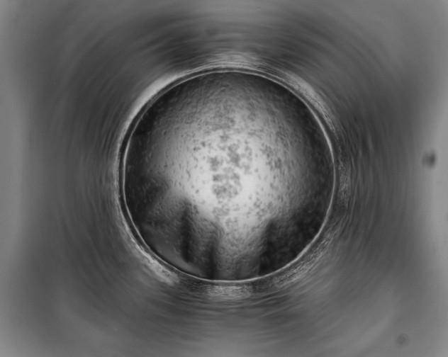 X0000100931339200807011212