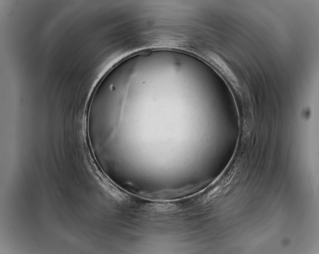 X0000100931340200807011212