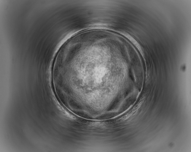 X0000100931341200807011212