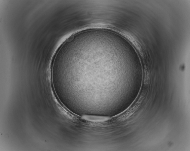 X0000100931342200807011212