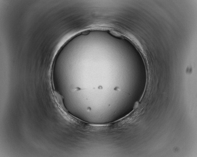 X0000100931344200807011212