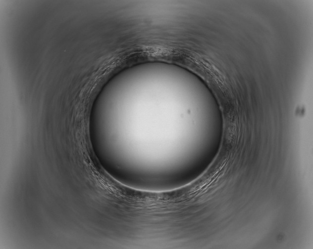 X0000100931345200807011212