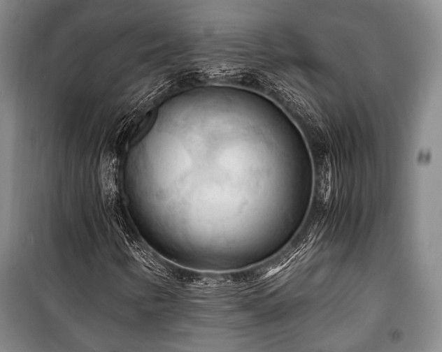 X0000100931346200807011212