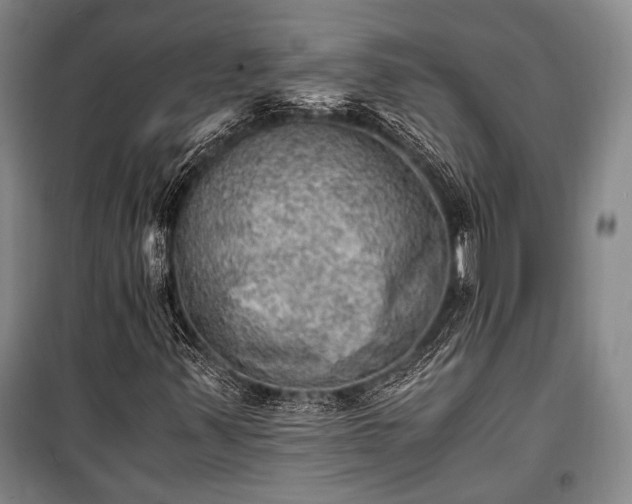 X0000100931347200807011212