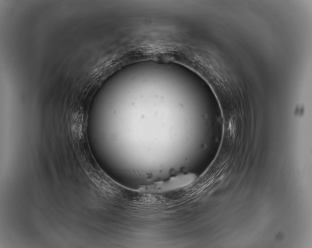 X0000100931348200807011212