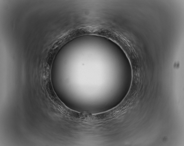 X0000100931349200807011212