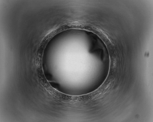 X0000100931350200807011212