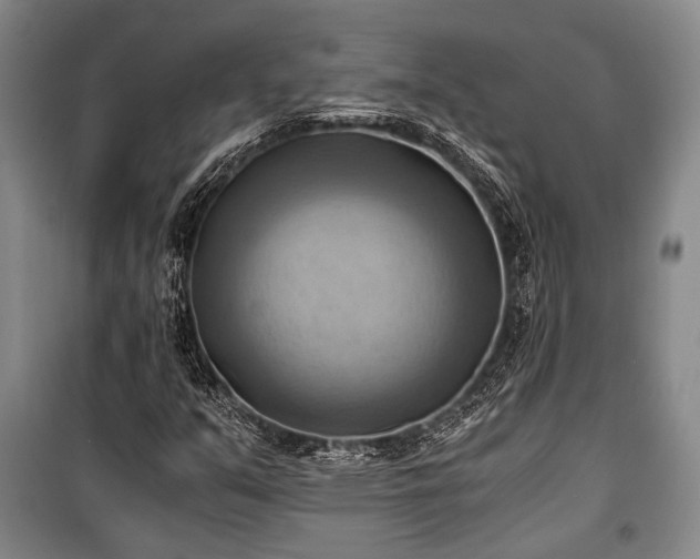 X0000100931351200807011212