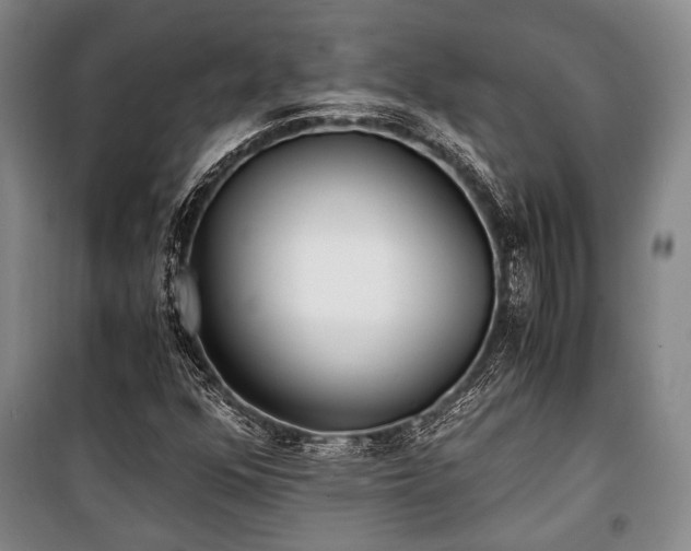 X0000100931352200807011212