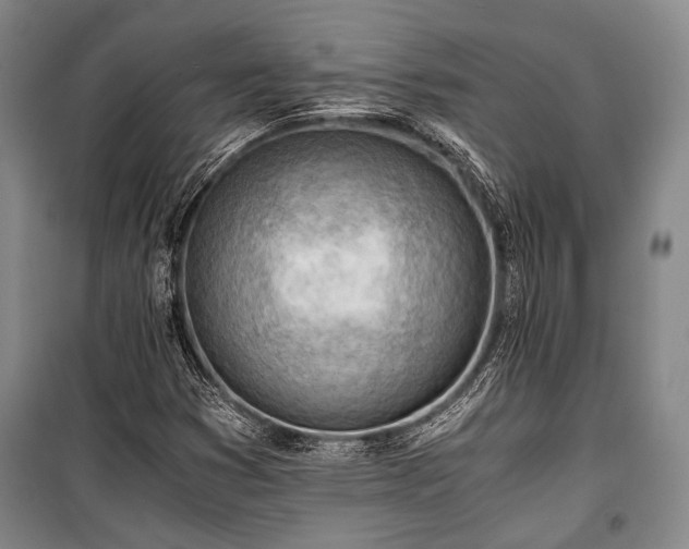 X0000100931353200807011212