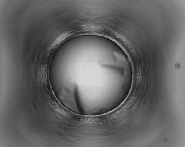 X0000100931354200807011212