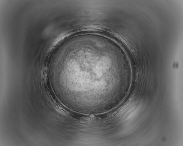 X0000100931355200807011212