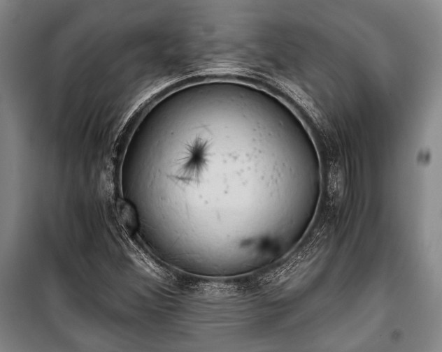 X0000100931356200807011212