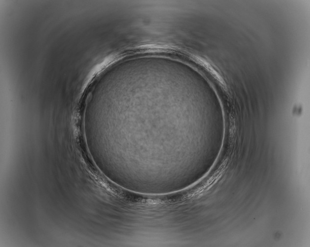 X0000100931357200807011212