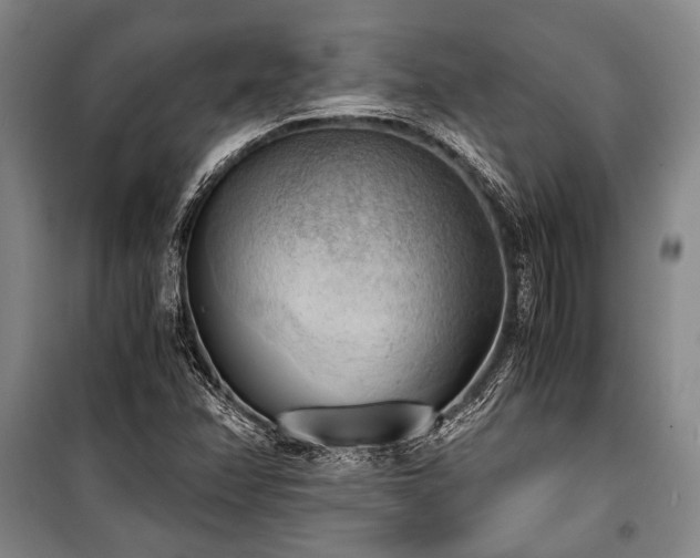 X0000100931358200807011212