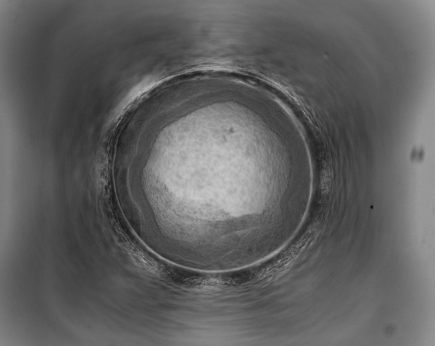 X0000100931359200807011212