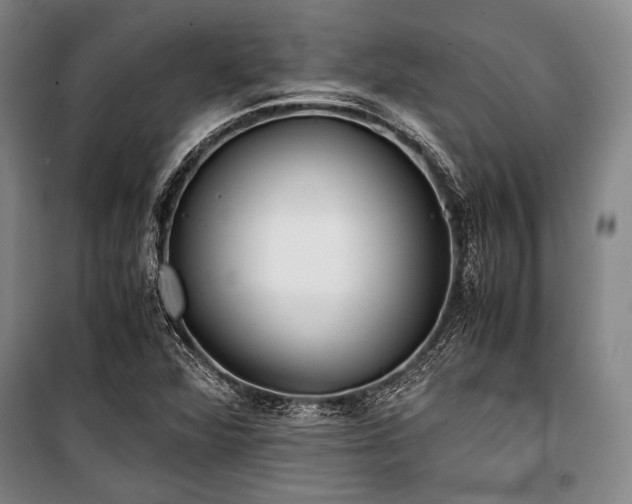 X0000100931360200807011212