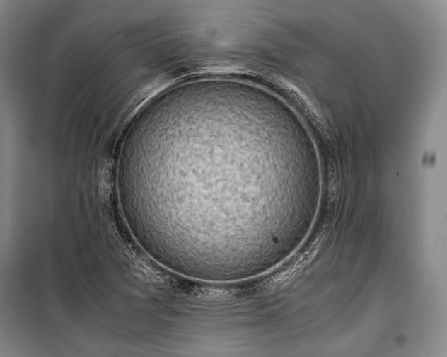 X0000100931361200807011211