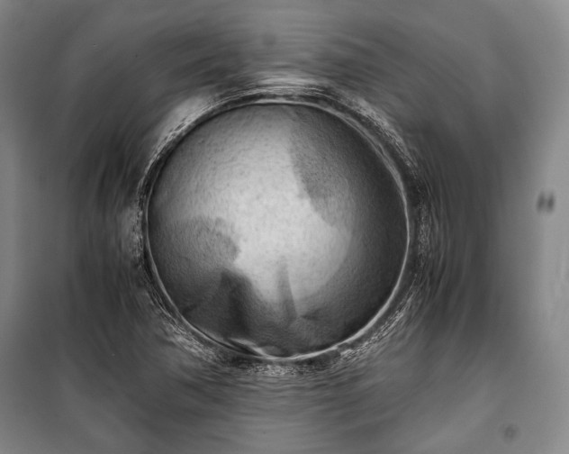 X0000100931362200807011211