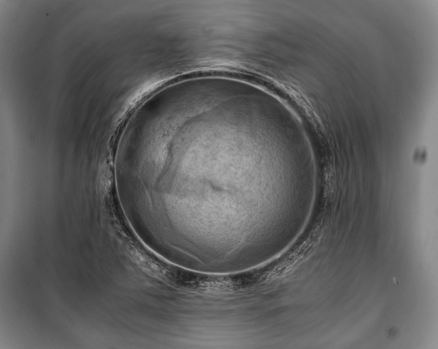 X0000100931363200807011211