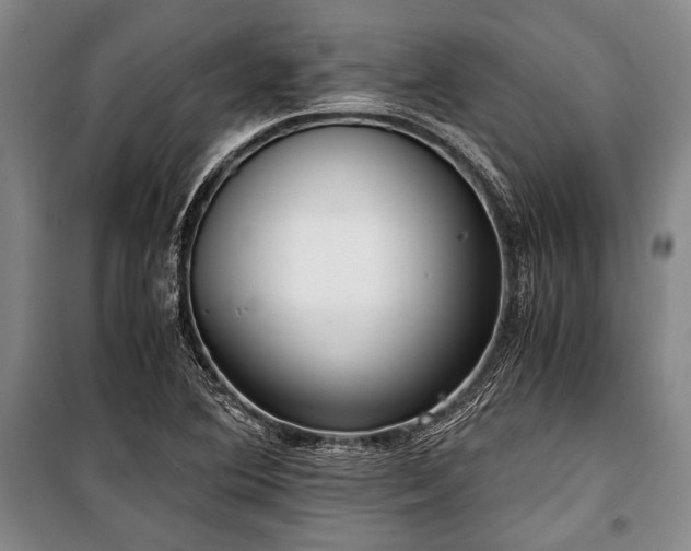 X0000100931364200807011211