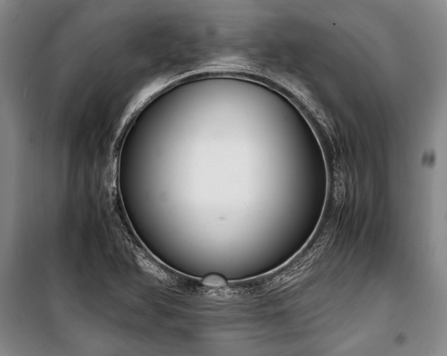 X0000100931366200807011211