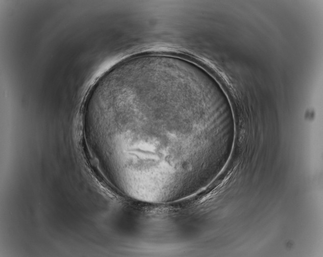 X0000100931367200807011211