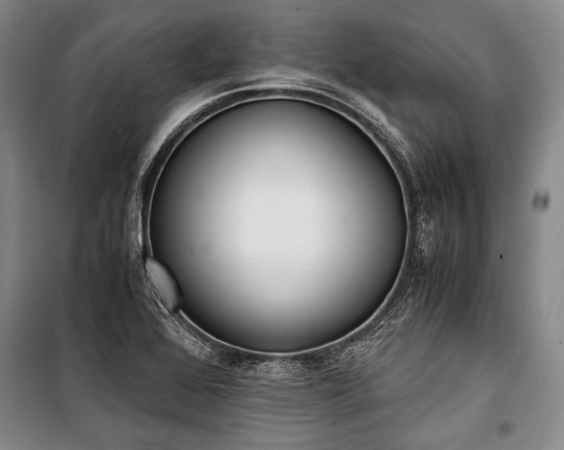 X0000100931368200807011211