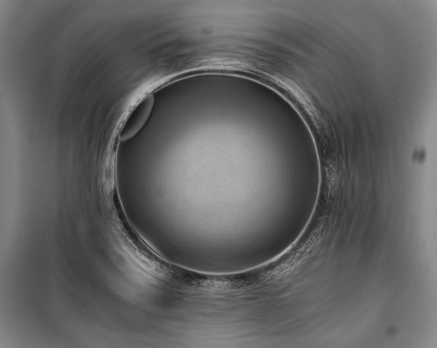 X0000100931371200807011211