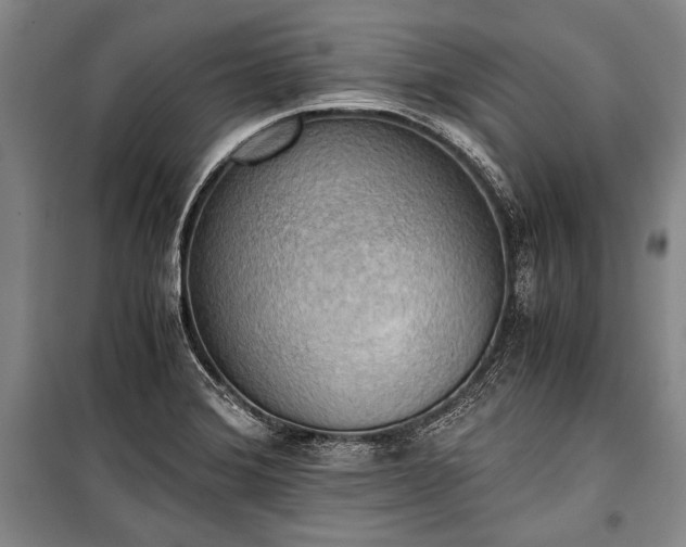 X0000100931372200807011211