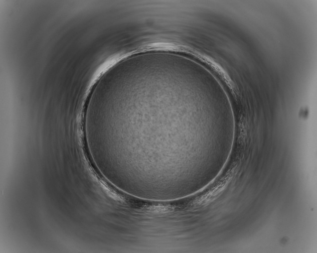 X0000100931373200807011211