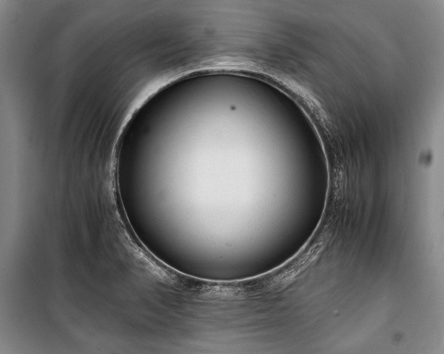 X0000100931374200807011211