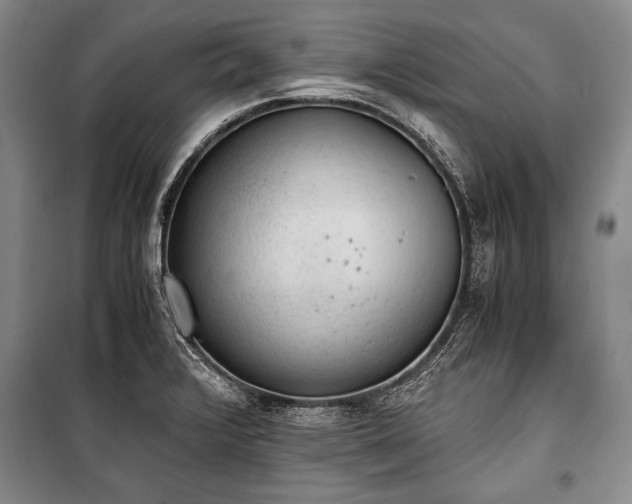 X0000100931376200807011211