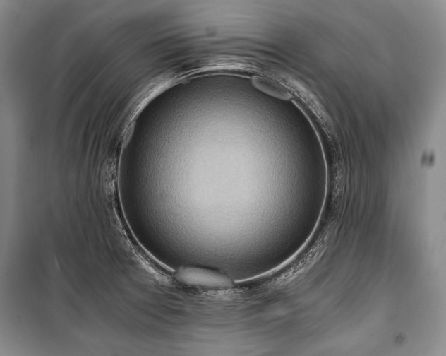 X0000100931377200807011211