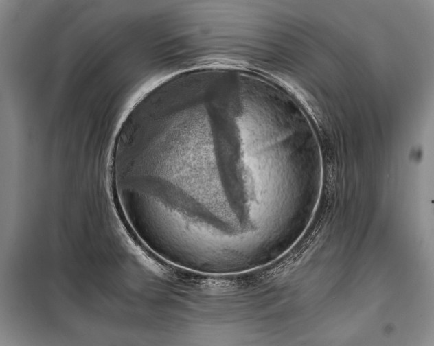 X0000100931379200807011211