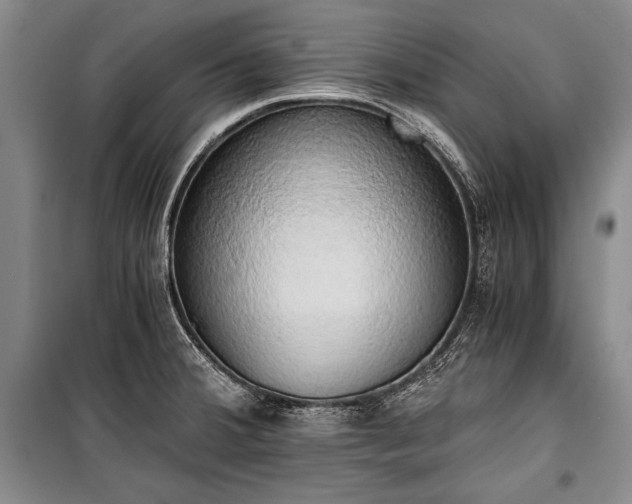 X0000100931380200807011211