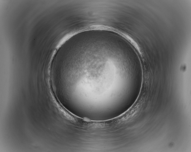 X0000100931381200807011211