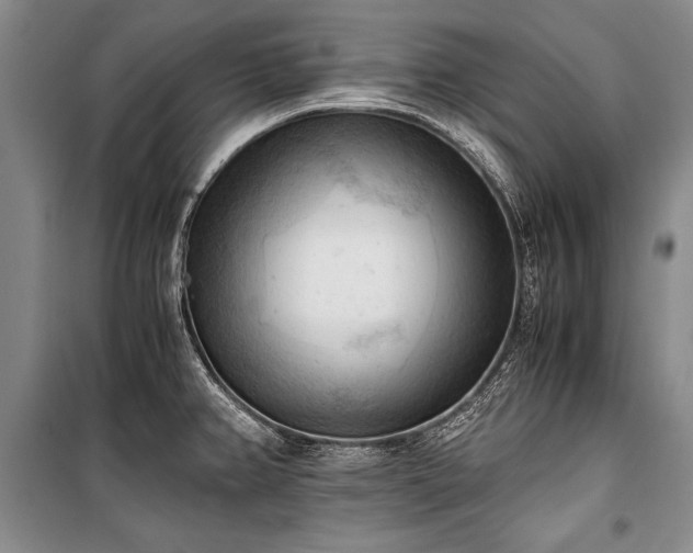 X0000100931382200807011211